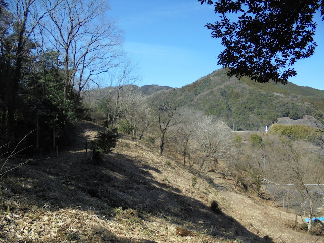 緑水湖の公園