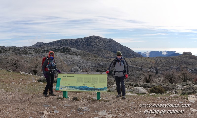 Cañada del Cuerno - Torrecilla - Cañada de las Ánimas