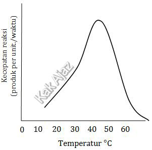 Grafik pengaruh suhu terhadap kerja enzim, soal Biologi SMA UN 2018