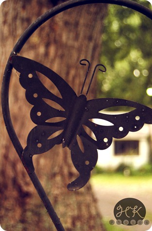 flutterby