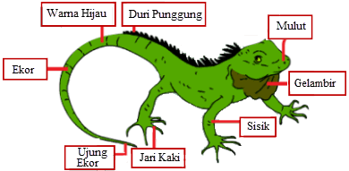 Penggolongan Hewan  Sesuai Makanannya