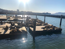 promenade à Fisherman's Wharf San Francisco