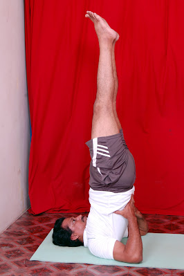 Shoulder Stand