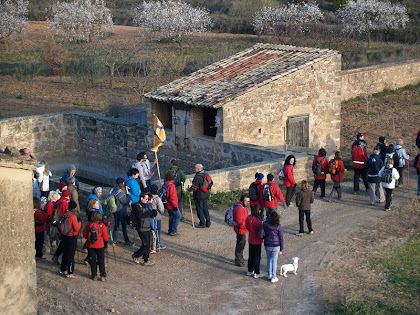 El conjunt de la bassa de Cal Magí de les Alzines vist des del camí d'accés al mas