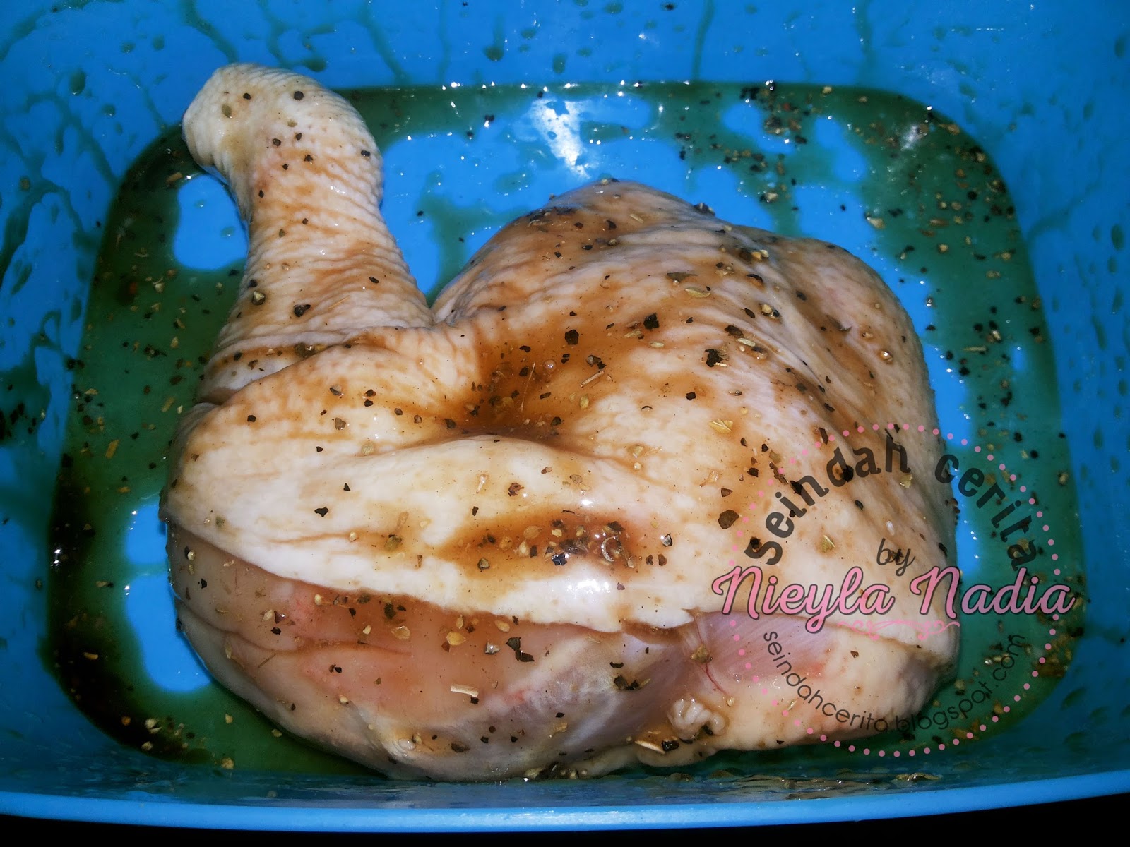 Resepi Ayam  Bakar  Diet  Atkins by nieyl Seindah Cerita