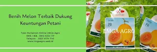 jual benih, melon, bibit melon, melon hijau, melon kuning, benih panah merah, toko pertanian, lmga agro