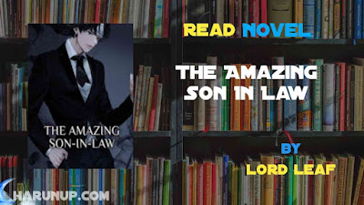 Read Amazing Son In Law Novel Full Episode