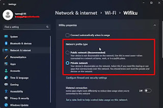 Mengganti Private Network menjadi Public Windows 11