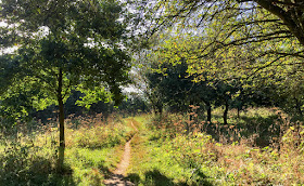 Walk round the Hawkwood Estate 03, 30 August 2016. 