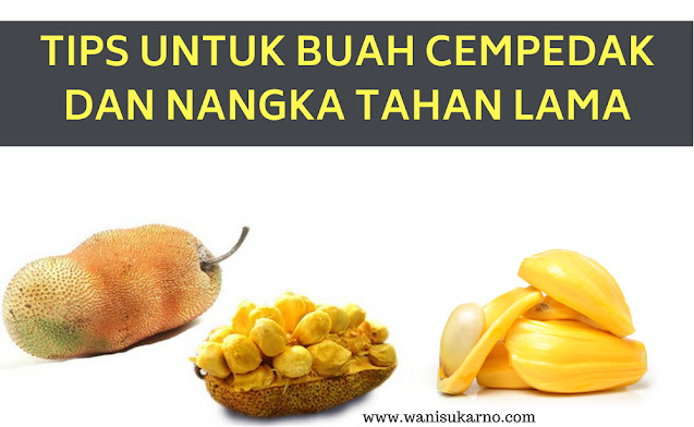 cara simpan buah cempedak dan nangka agar tahan lama