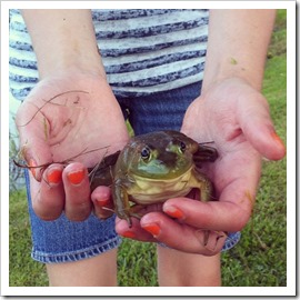 frog