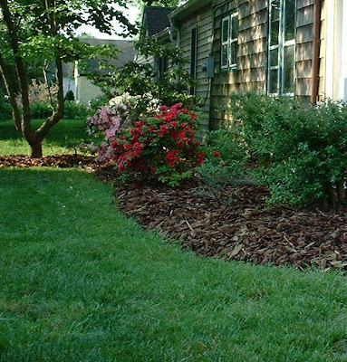 Home & Garden Landscaping