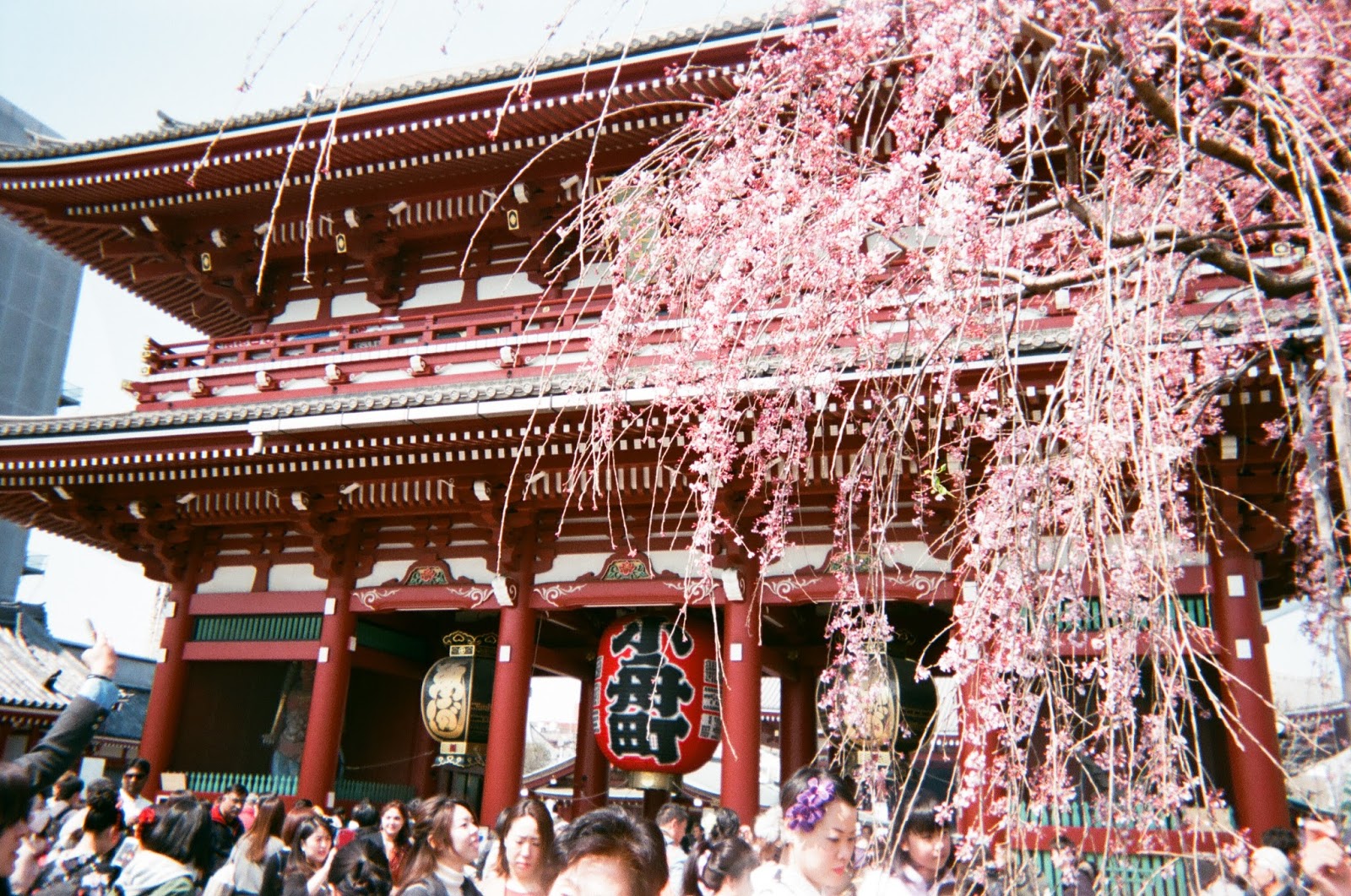 Tokyo in Disposable Camera Sensoji Temple | www.bigdreamerblog.com