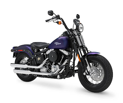 2010 Harley-Davidson Cross Bones FLSTSB