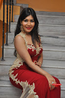 Rachana Smith in a Red Deep Neck Leg Split Gown ~  Exclusive Galleries 058.jpg