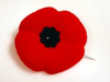 The Poppy - Used as a Symbol to Remember the Horrors of War