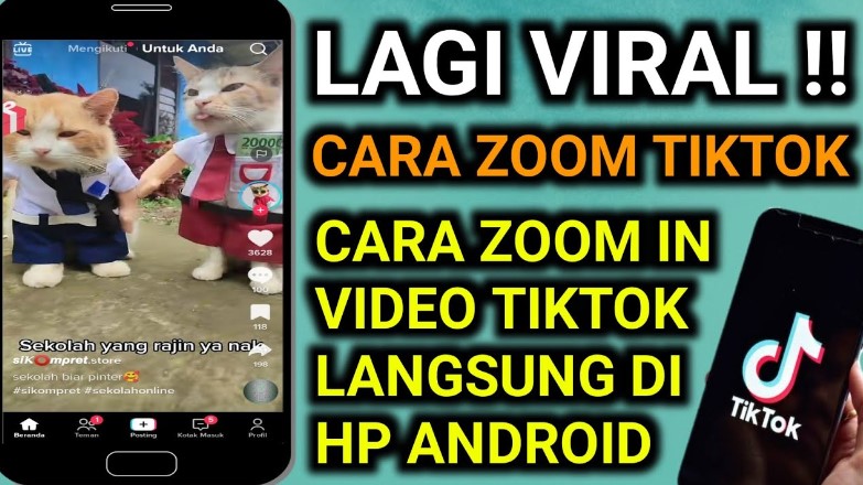 Cara Zoom TikTok