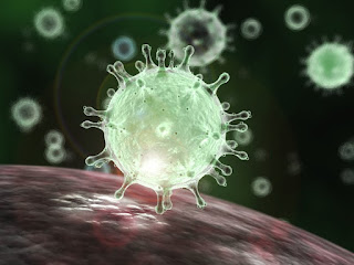 coronavirus