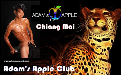 Gay Bar & Show Club Chiang Mai Hot Asian Boys, Ladyboy Cabaret & Go-Go Bar