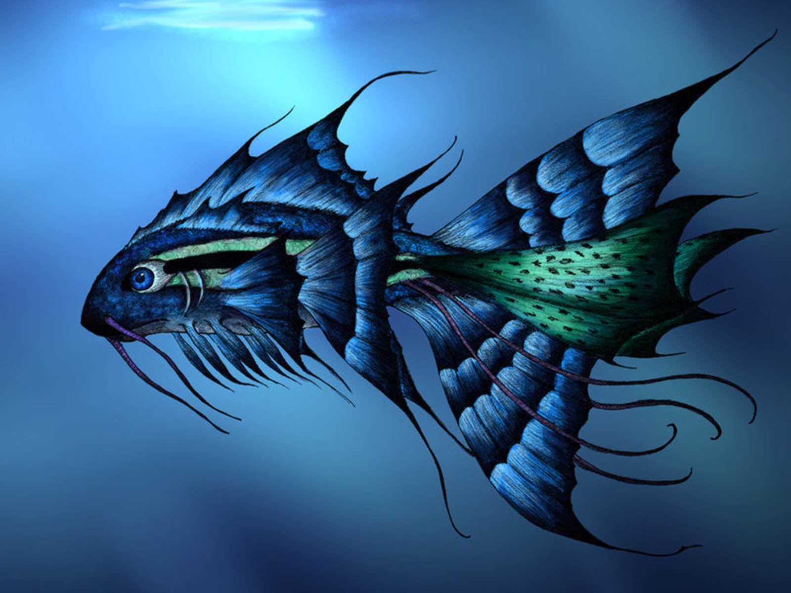  wallpapers  3D Fish  Wallpapers 