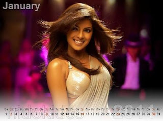 priyaka chopra 2012 calender, wallpaers