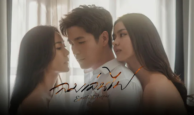 เรื่องย่อ ลมเล่นไฟ