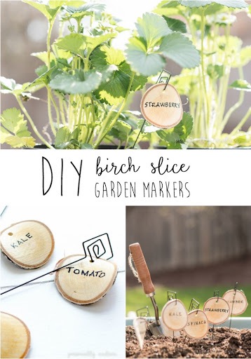 DIY Birch Slice Garden Markers