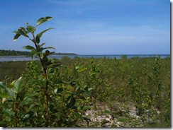 2010-05-LakeMich01