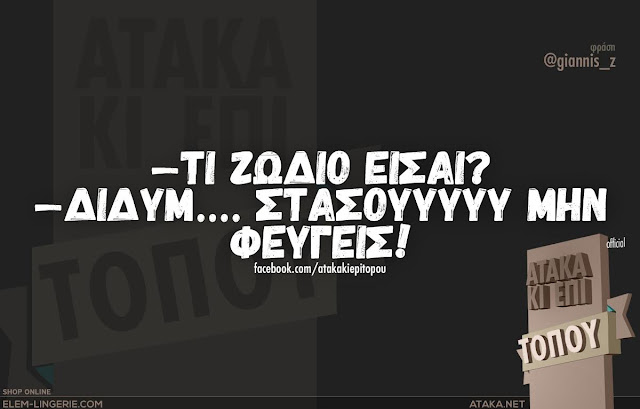 Δίδυμοι ♊ Gemini