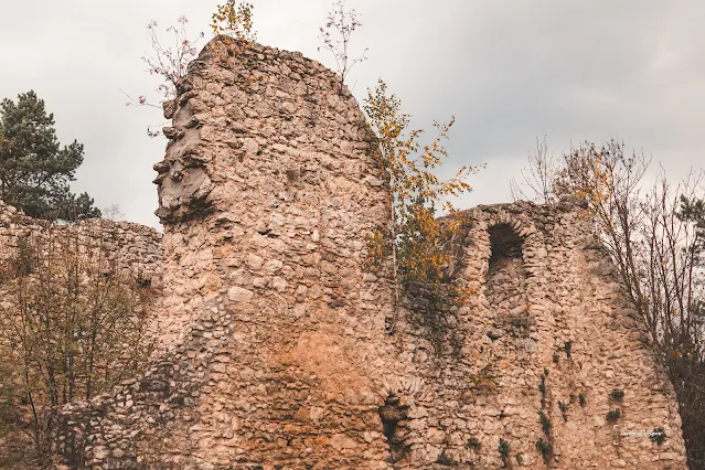 Zamek w Bydlinie: Architektura i Archeologia