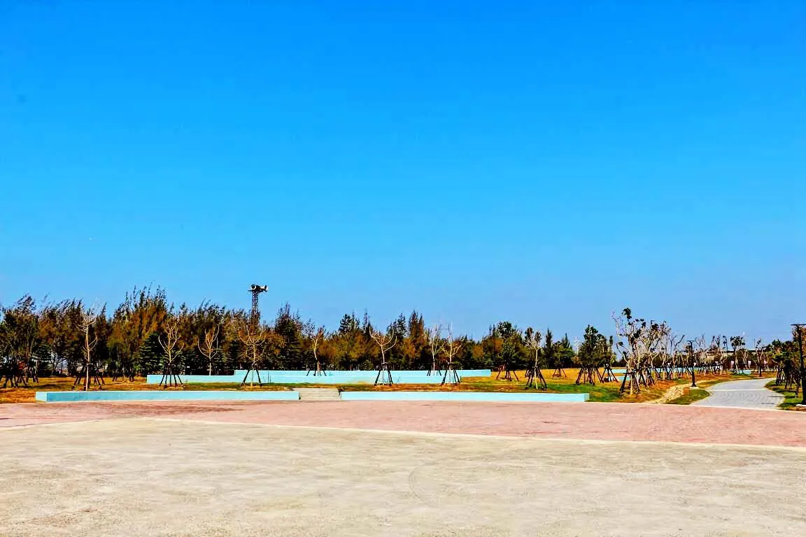 嘉義｜新岑公園｜距離200多公尺便能看見黑面琵鷺及各種鳥類｜環境生態的寶地｜布袋鎮｜景點