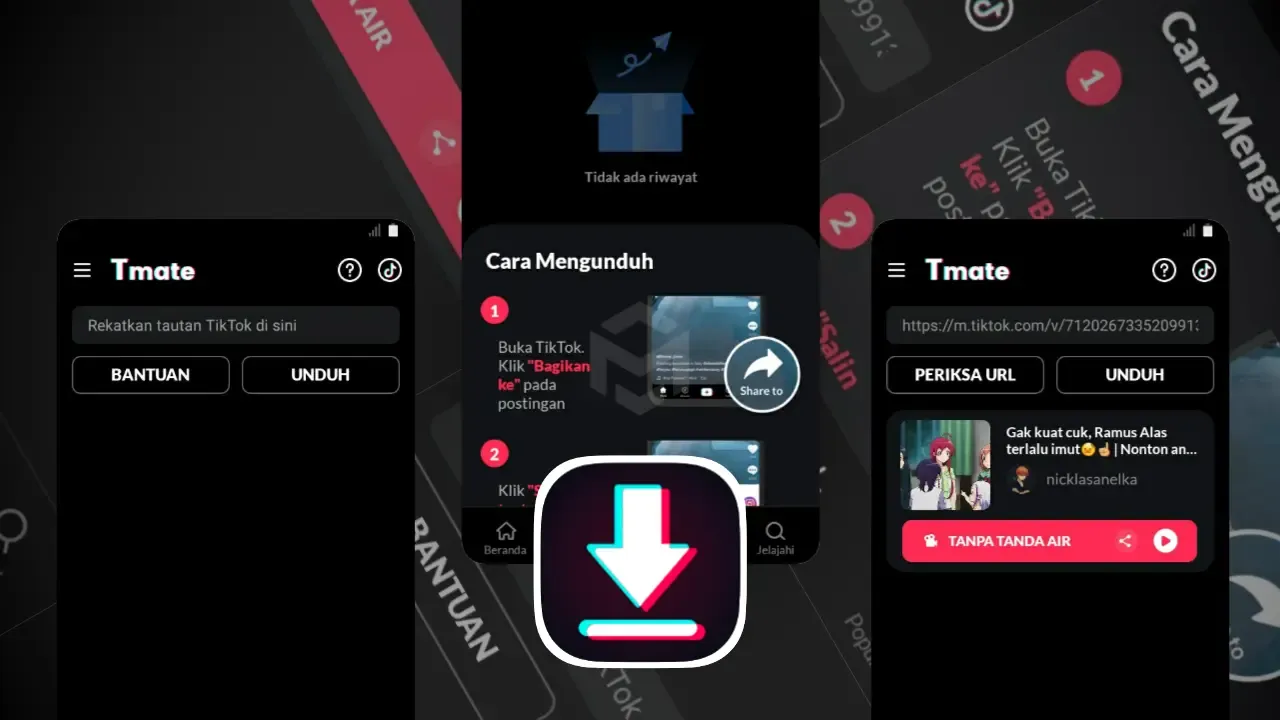 Download Tmate - TikTok Downloader Pro Mod