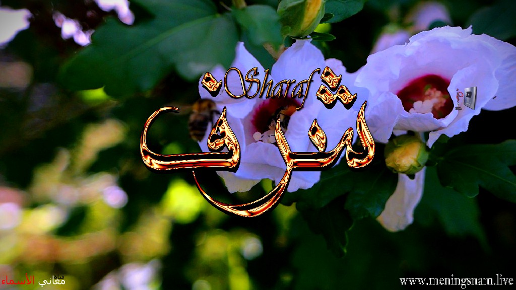 معنى اسم, شرف, وصفات, حامل, وحاملة هذا الاسم, Sharaf,