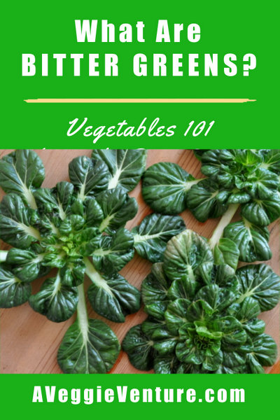 What Are Bitter Greens, more Vegetables 101 ♥ AVeggieVenture.com, everything you'd like to know, including a comprehensive list and links to recipes.