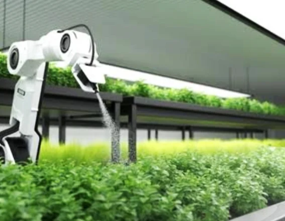 Japan's Robotics Revolutionize Agriculture