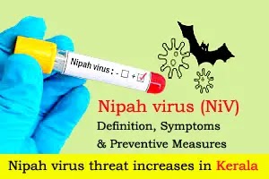 Nipah virus (NiV): Definition, Symptoms and Preventive Measures