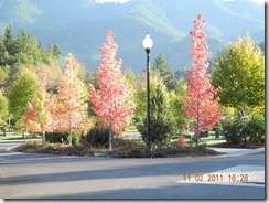 DSCN0157
