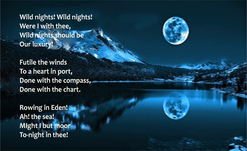 Wild Night