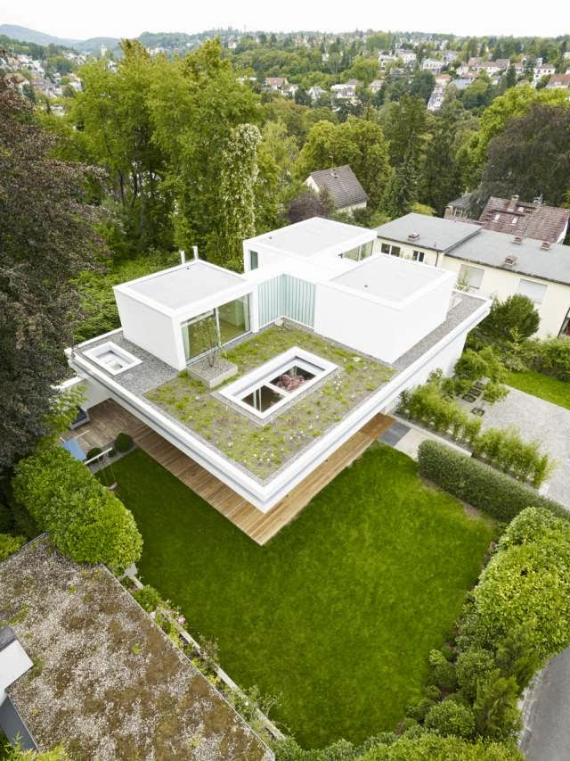 Modern House with Grass Roof - House S