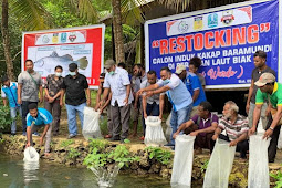 Markus Masnembra Lepas 150 Induk Ikan Kakap dan Nila di Muara Kali Wardo