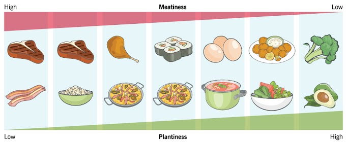 Going Vegetarian: A Comprehensive Guide to Plant-Based Eating