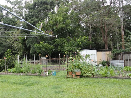 Food production in the backyard