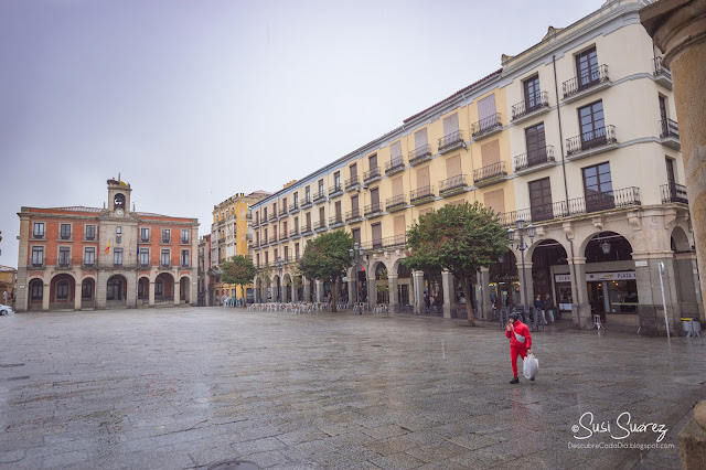 Zamora, rutas para descubrir la ciudad