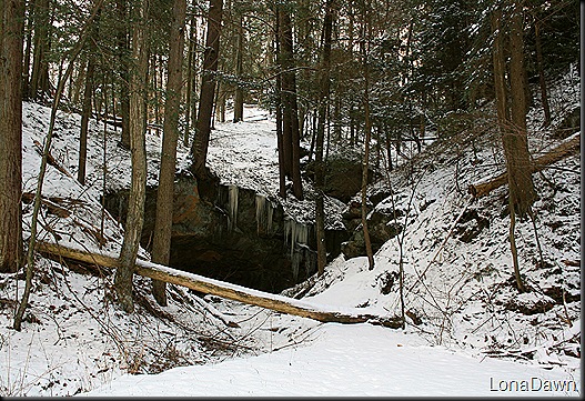 Scenic_Inn_Winter