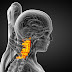 Why Yoga and Exercise Is Advisable in Cervical Spondylosis