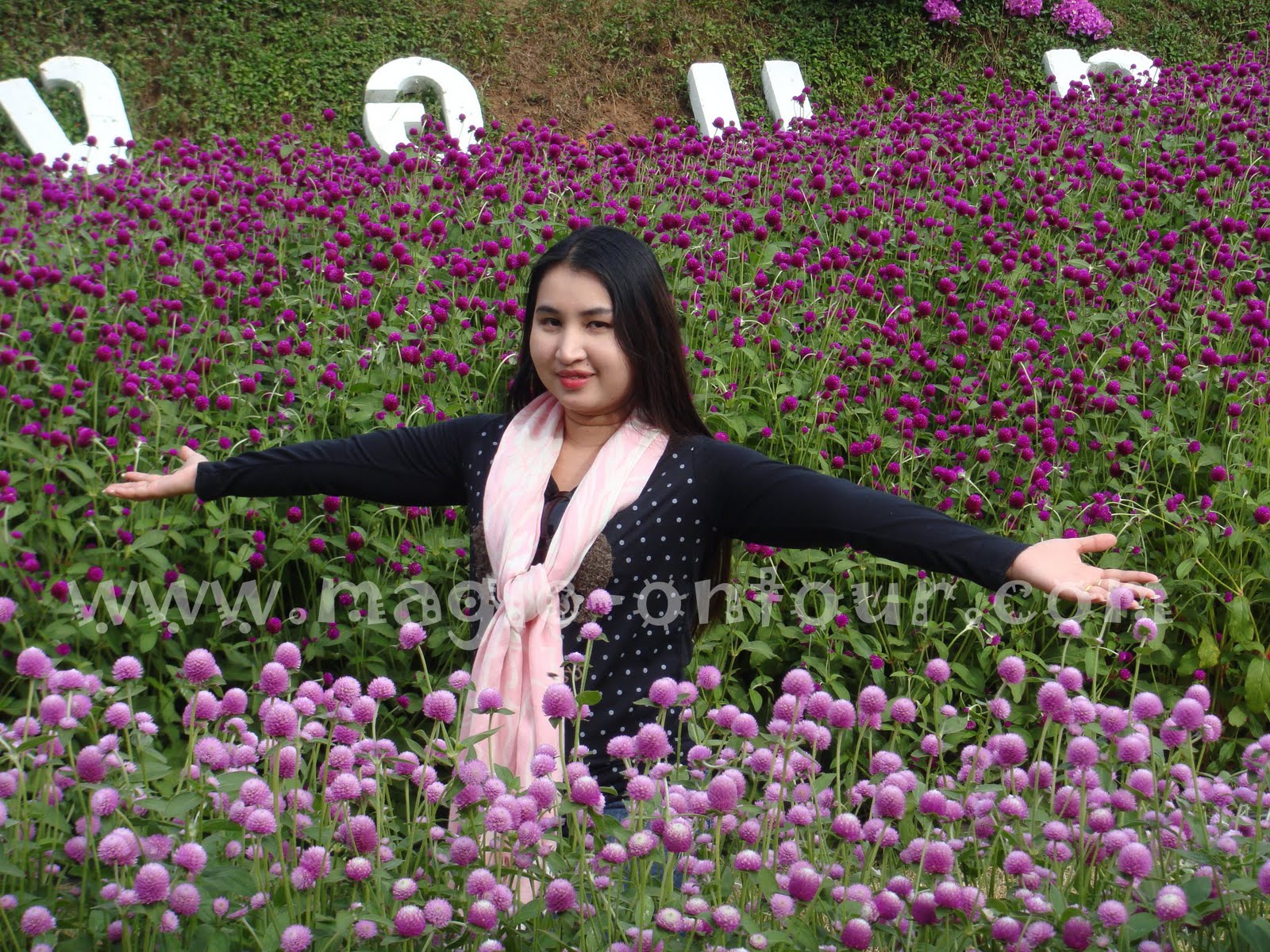 photo magic