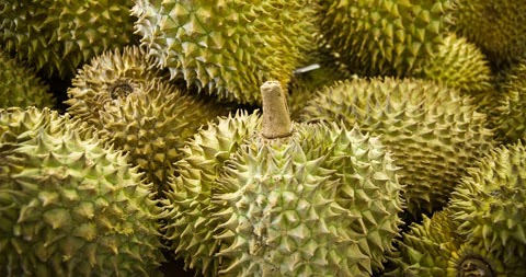 Thailand Kembangkan Durian  Tanpa Bau Tanpa Biji