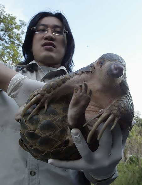 very ugly baby pictures. Scaly aby ugly!