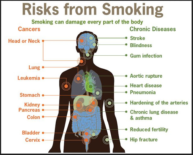 Smoking Health Risks-Your Health Blog