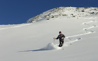 Guy, Steve and Dixie telemarking home in perfect powder